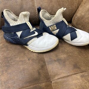 Nike Lebron Zoom Soldier 12 Size 10